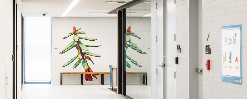 Illustration of a plant at the end of a hallway