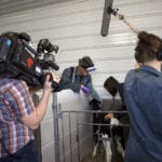 Animal Health: Dairy Farm
