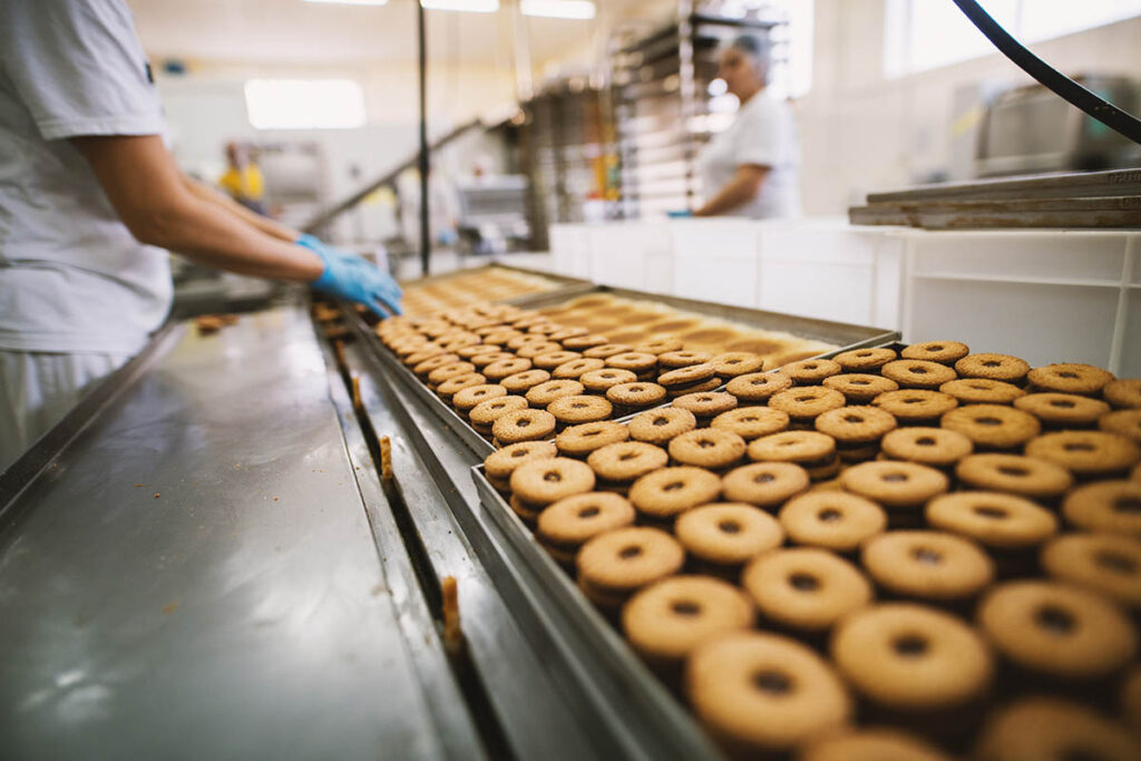 Conveyor belt carrying cookies in a food manufacturing facility