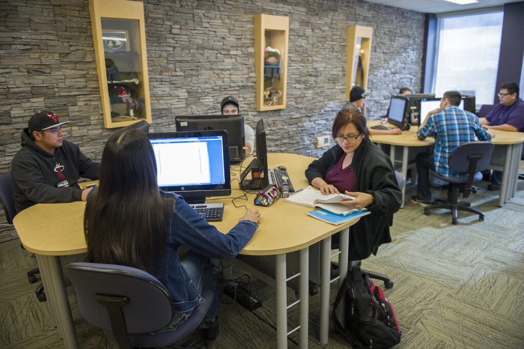 Students sitting in a computer lab