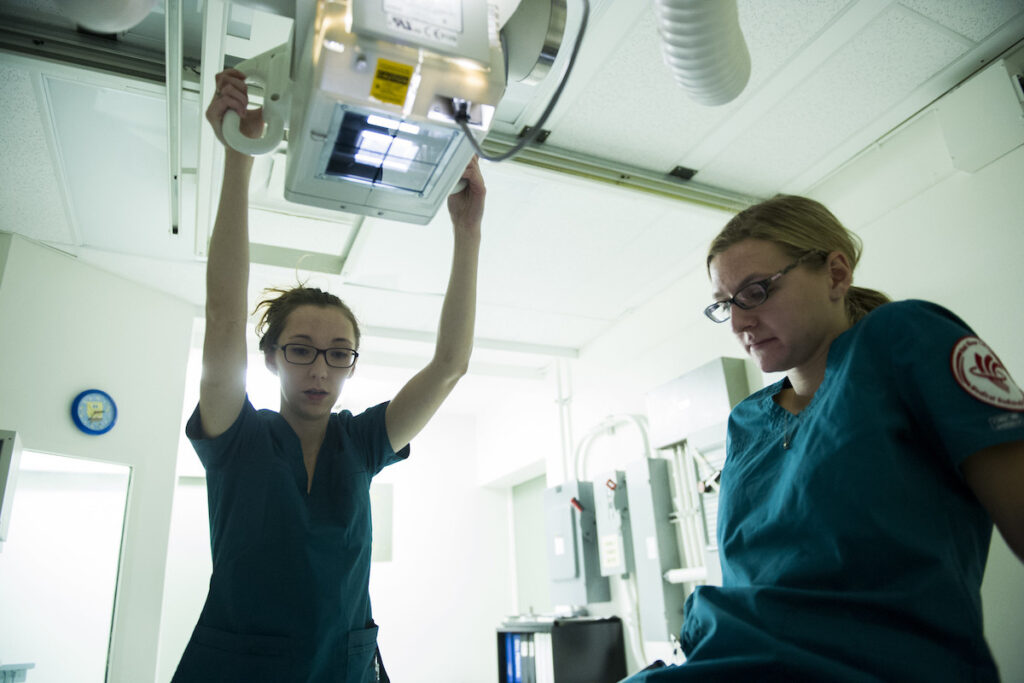 Medical technicians learning how to operate equipment in a teaching lab