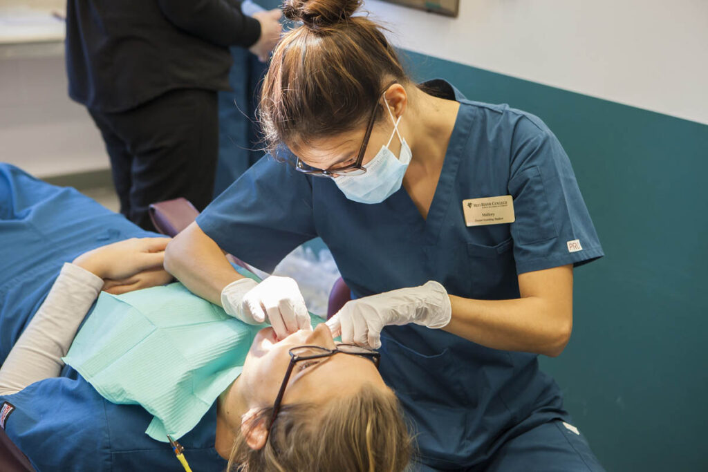 Dental assisting student examining a patient's mouth