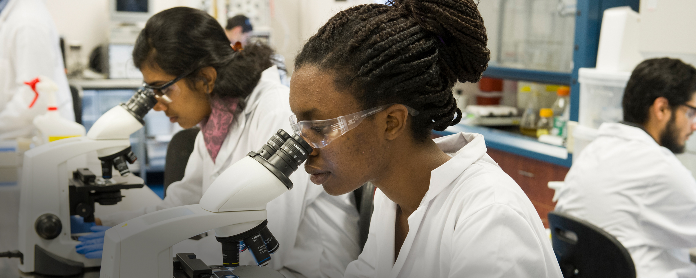 Pharmaceutical students in a lab looking at specimens through a microscope
