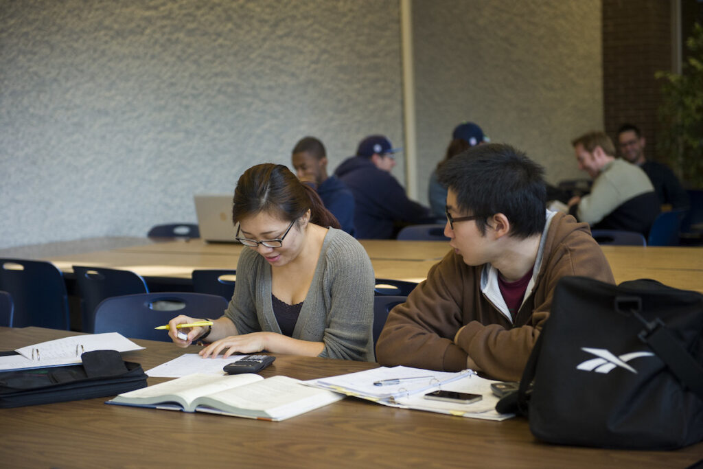 Two students looking at a textbook and taking notes