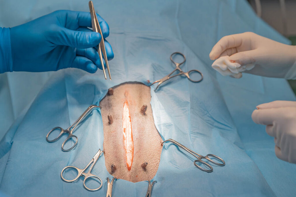 Two veterinary technologist performing surgery on an animal