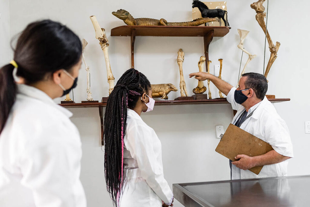 Instructor showing off bones and teaching anatomy to two students