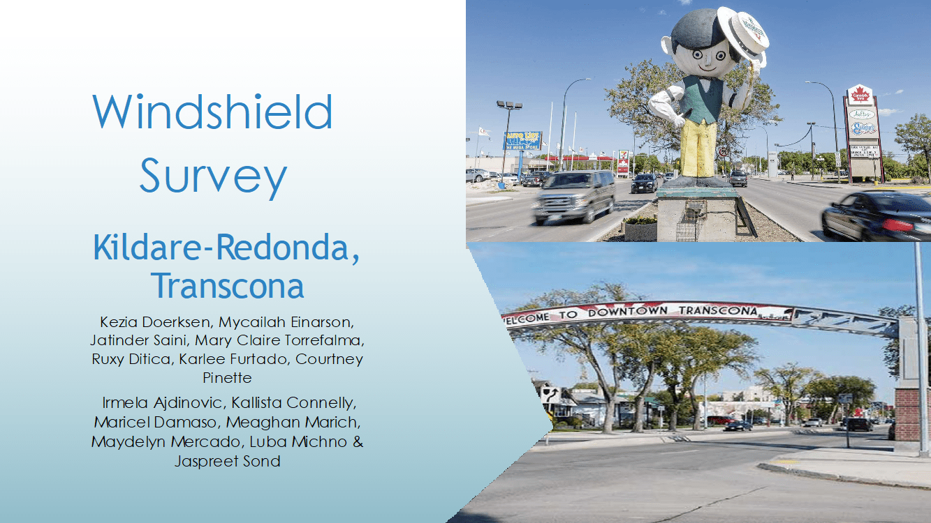 Windshield Survey 1