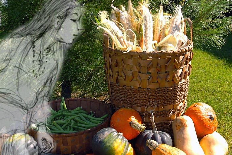 Indigenous Culinary Arts Guide : RRC Polytech: Library and Academic ...