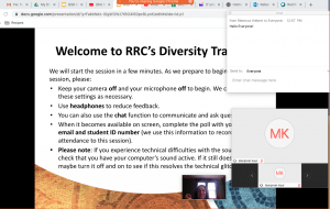 Screenshot of online Diversity Training