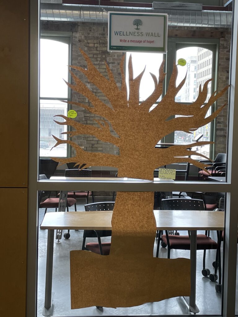 Photo of the Wellness Wall at EDC Library.