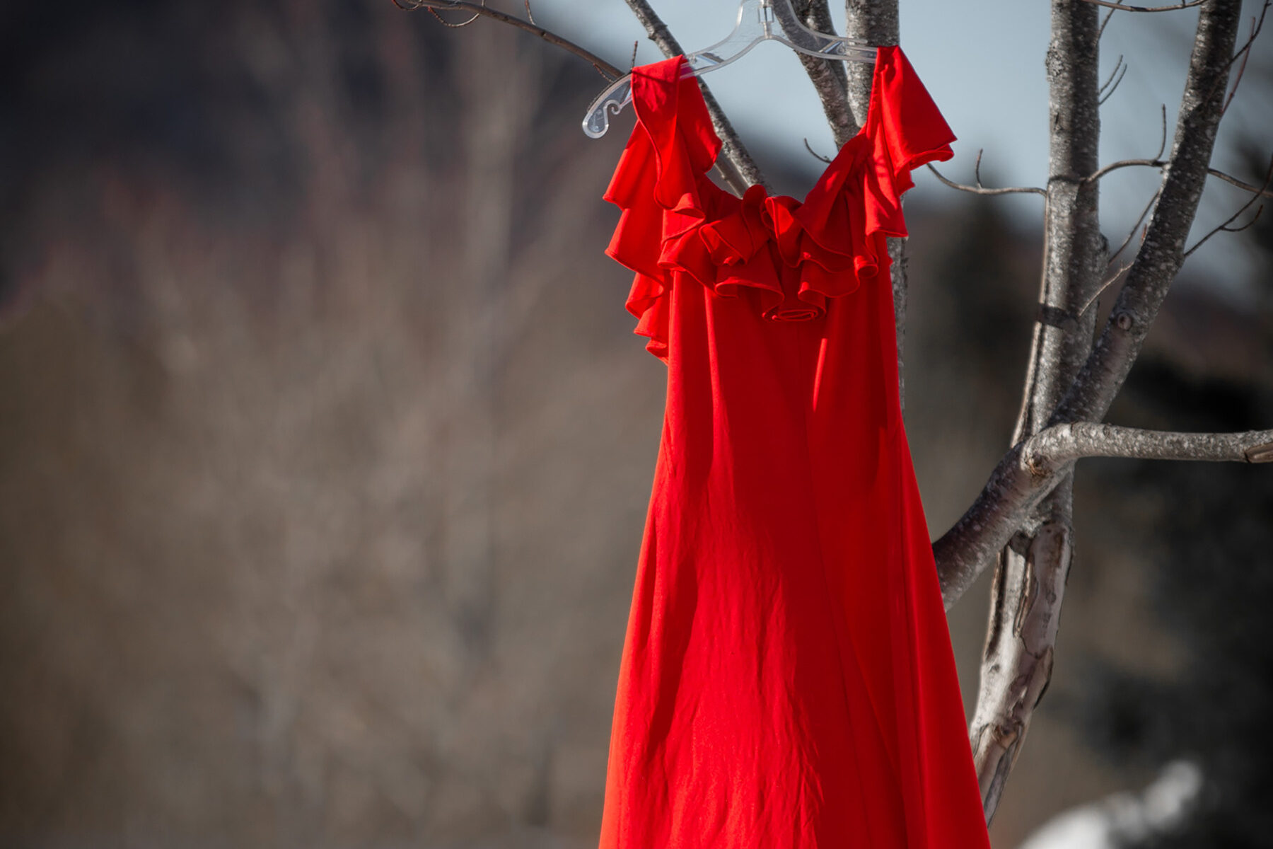 A vertical shot of a red dress hanging from a branch of a tree. 