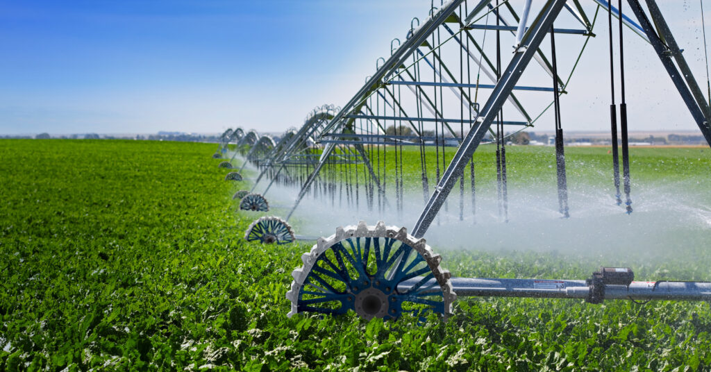 Irrigation system watering crops in field