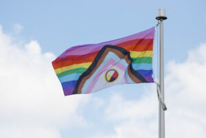 RRC Polytech inclusive pride flag: horizontal rainbow stripes offset by black/brown/blue/pink triangle containing Indigenous medicine wheel