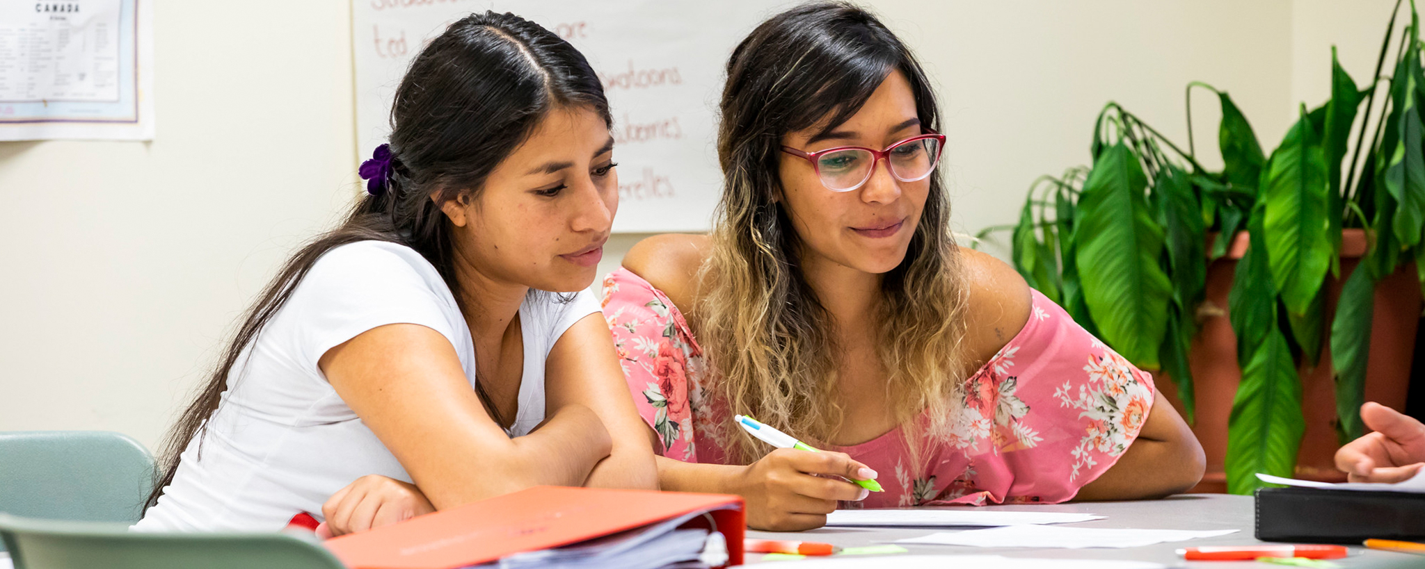 two students studying