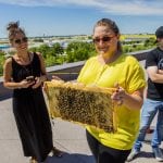 A woman holds up a slab of honeycomb full of pacified bees.