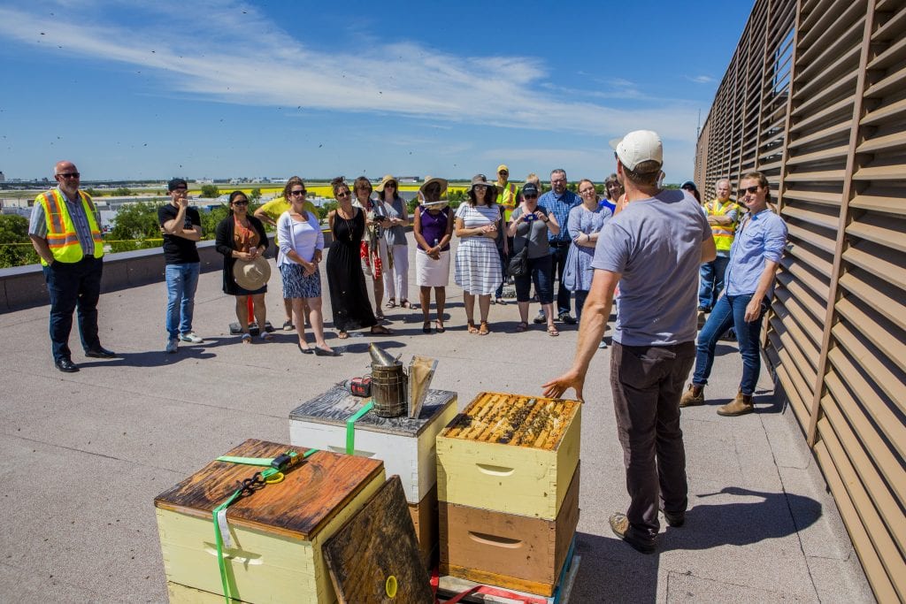 A large group stands on the rooftop of Red River College Polytechnic in front of three beehives for a presentation.