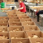 Rows and rows of boxes filled with potatoes line a table. At the end, a woman is placing a potato in a box.