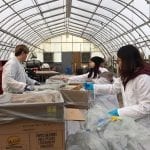 Students in protective white lab coats sort through trash during a trash audit.