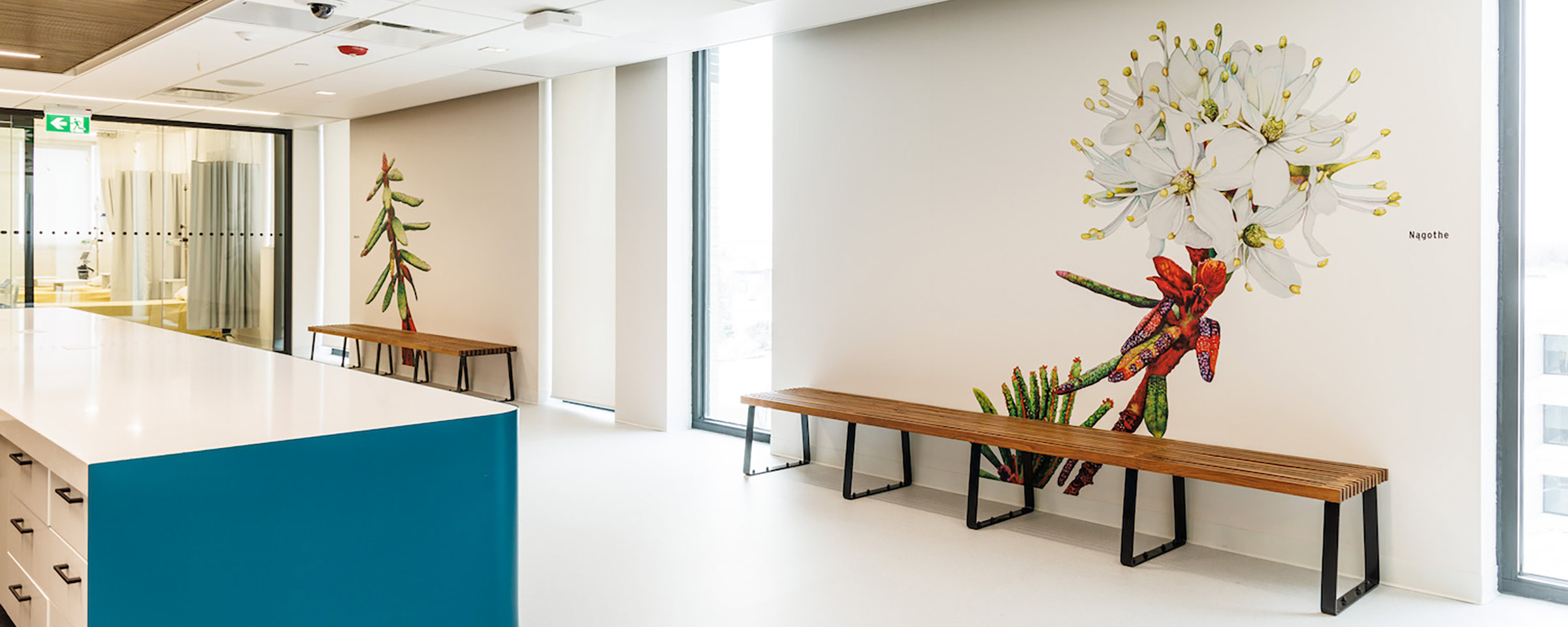 Mural of foliage within Simulation Centre