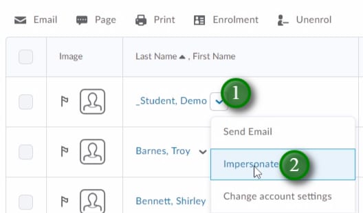 Impersonating a Demo Student in LEARN Classlist