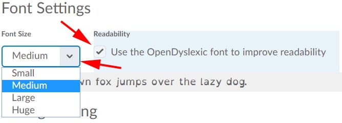 Adjusting font settings in LEARN