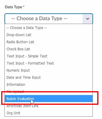 ;Select "Rubric Evaluation" as your custom Data Type