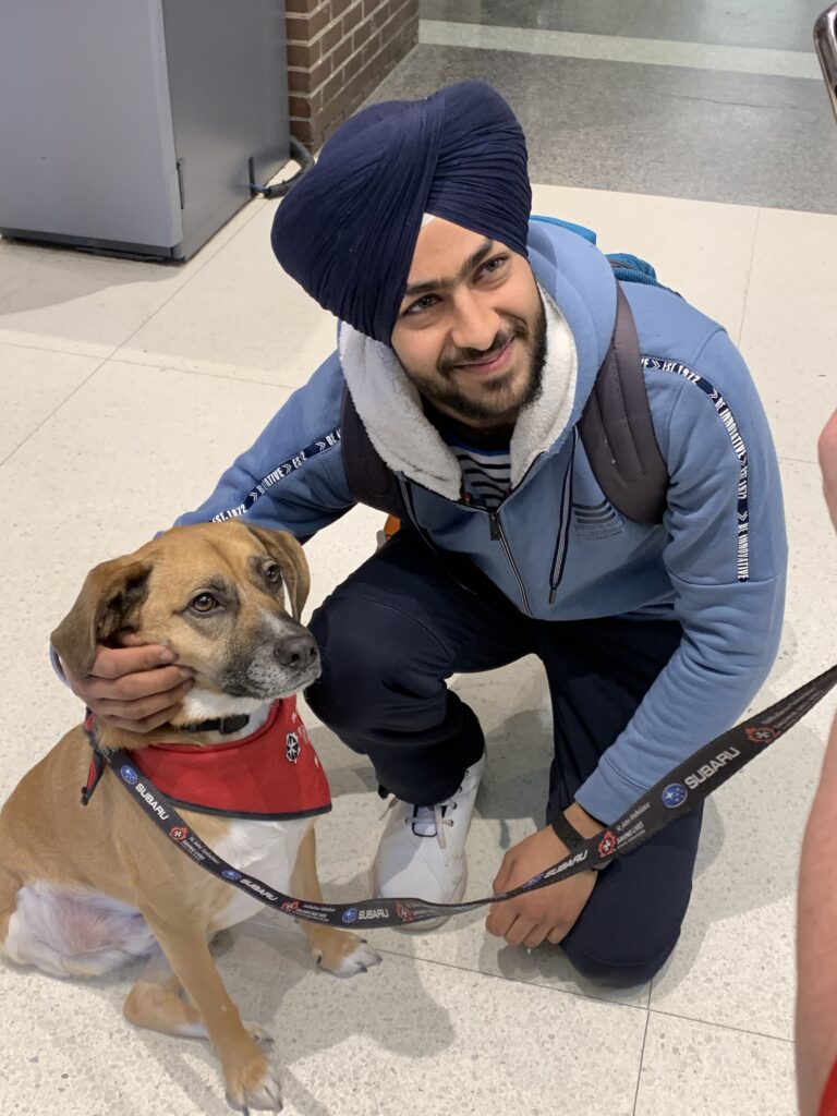 A person wearing a blue turban and a backpack crouches down to pet a therapy dog while smiling.