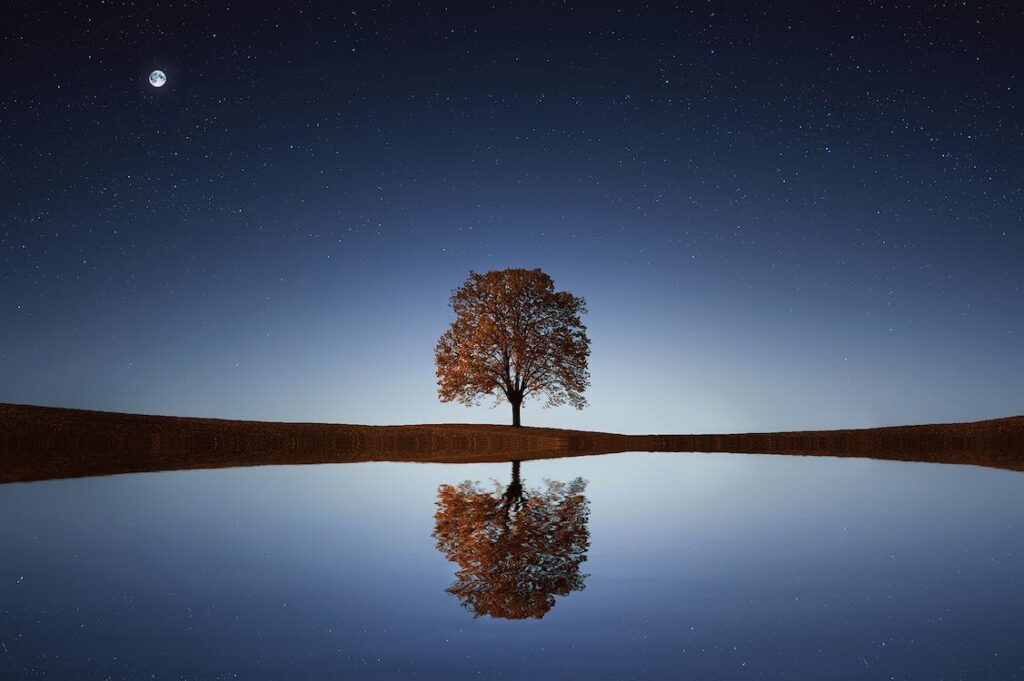 A single tree by a river with a reflection in the water under a sky full of stars and a moon. 