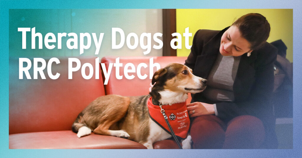 A smiling person, sitting on a red couch, petting a medium sized brown and white therapy dog. White lettering hat reads, therapy dogs at RRC Polytech.