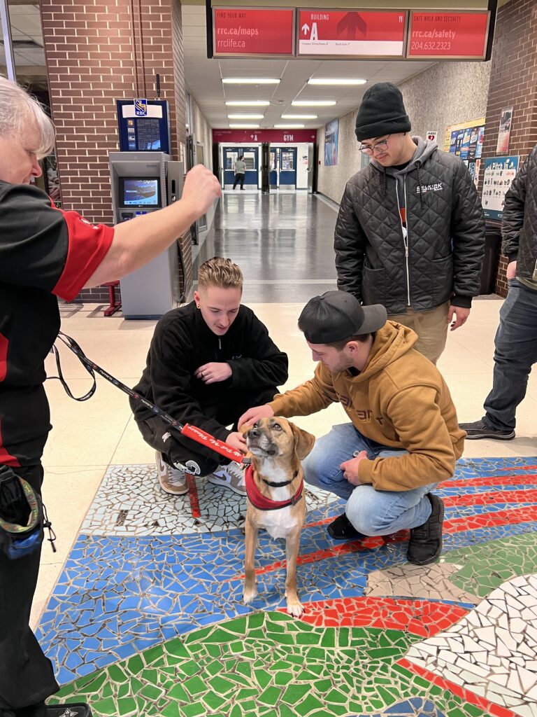 Students petting a therapy dog that is sitting on the floor. The dog is looking up at his owner who is holding a treat. 