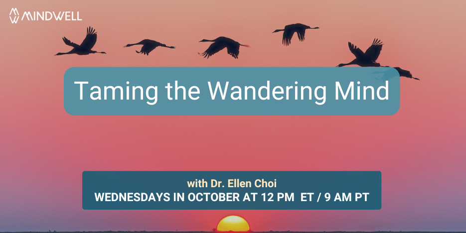 geese flying, sunset background