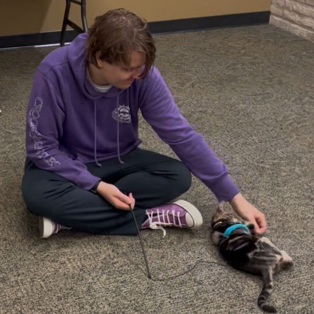 Student petting cat