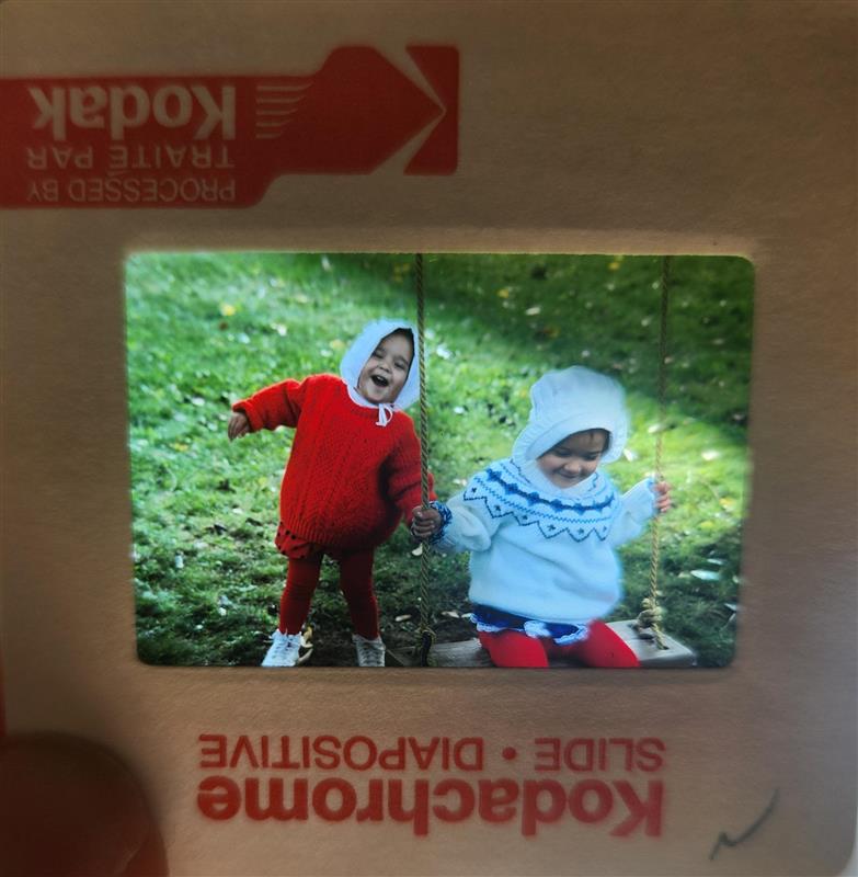 Two children playing on a swing