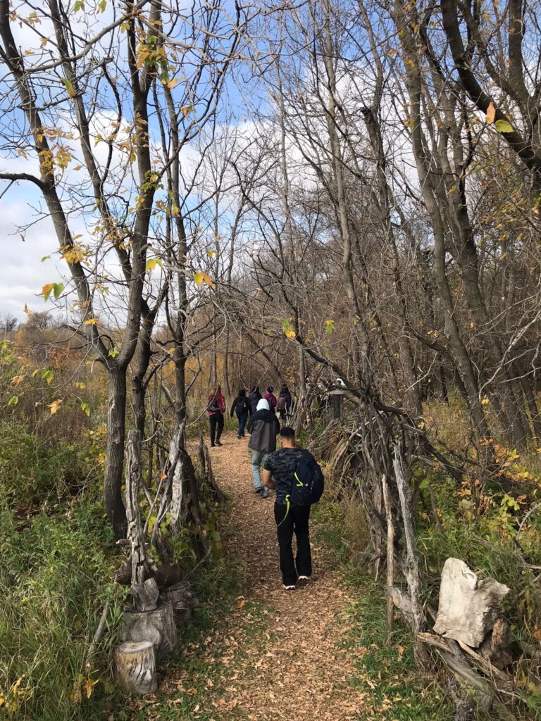 People walking a wooded trail