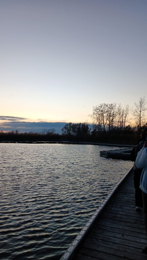 Person walking along a dock surrounded by water