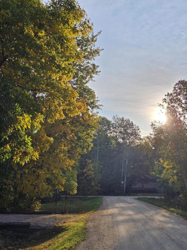 Sunrise on a morning walk
