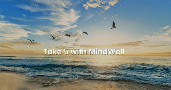 birds flying over ocean during sunrise