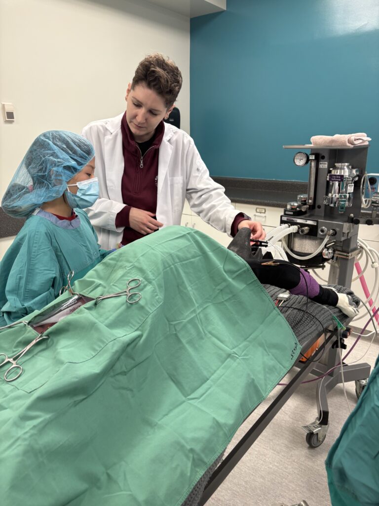 Dana Arnbjornsson leads camper Yien in a mock vet surgery demo