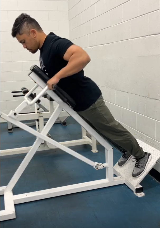 Picture of a person on the chest supported row, back is straight, feet are set and arms are bent, weight pulled to the chest
