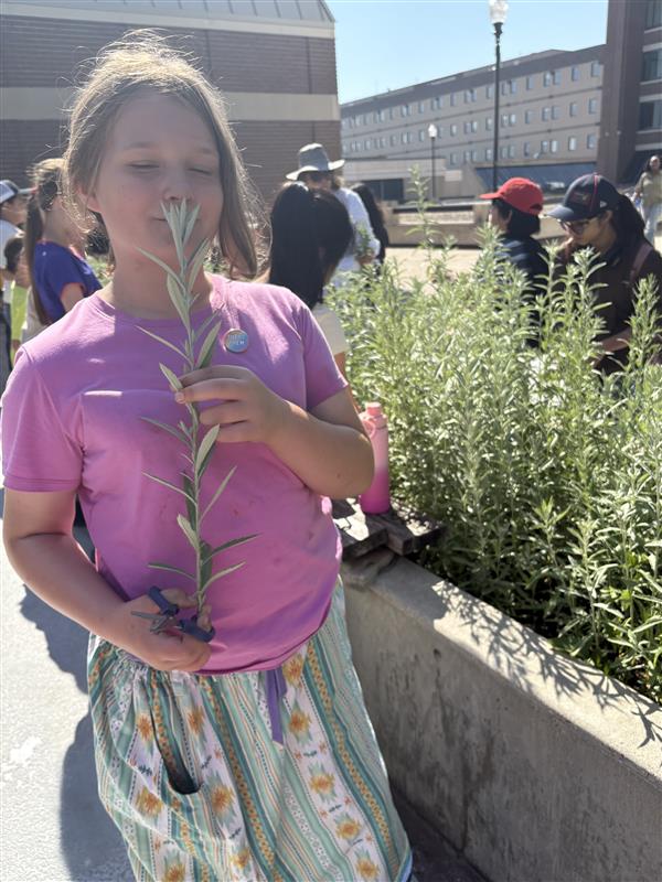 A girl stands outside smelling a freshly cut bunch of sage while other campers are selecting their sage in the background