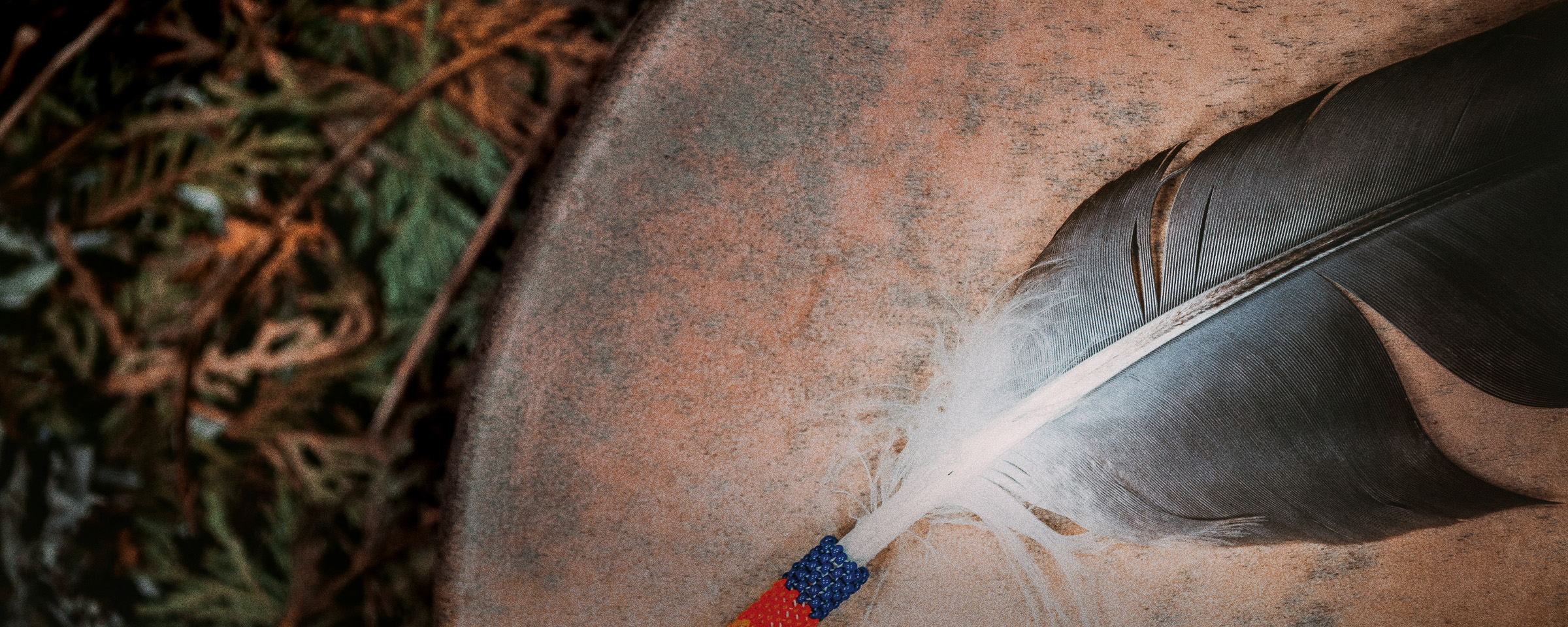 Close up image of feather on drum.