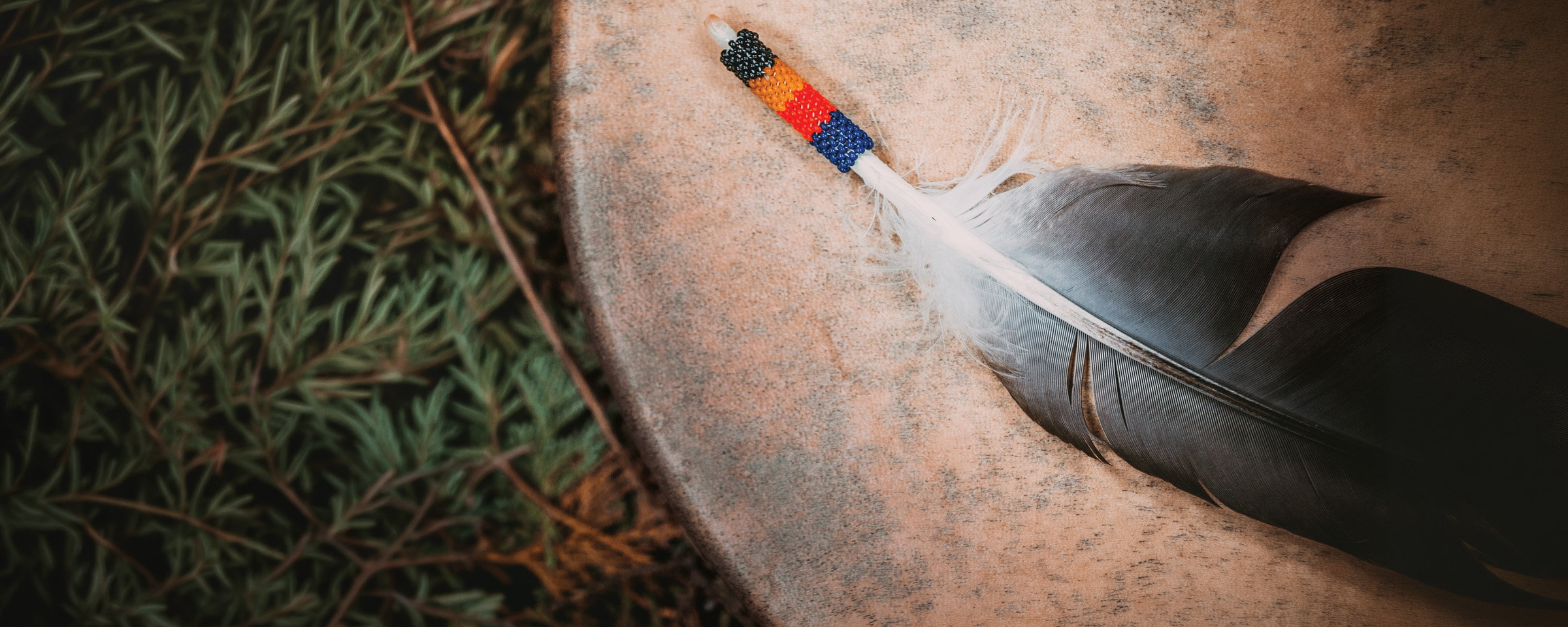 Close up image of feather placed on a drum.